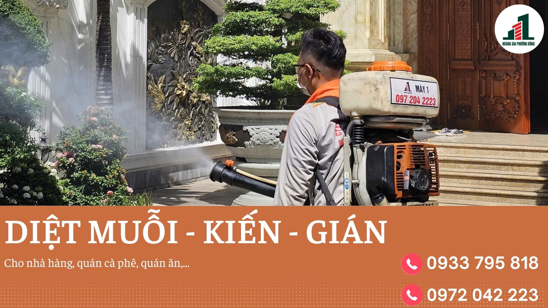 Dịch vụ kiểm soát muỗi, kiến, gián cho nhà hàng